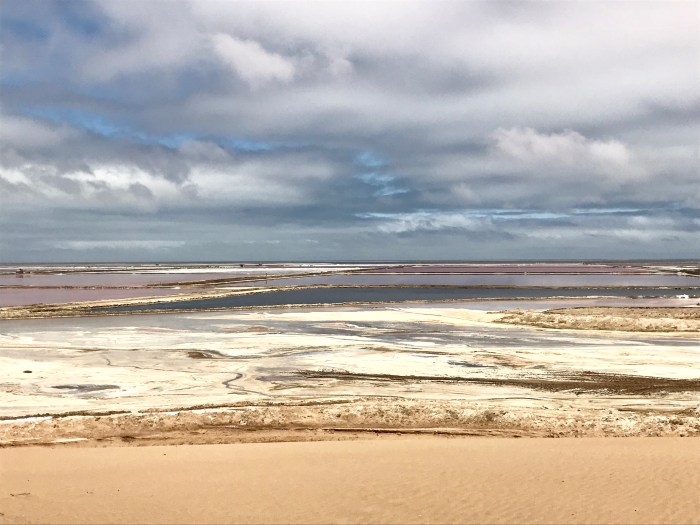 0EA24EDE-34BE-41D3-A129-7CD14378320F