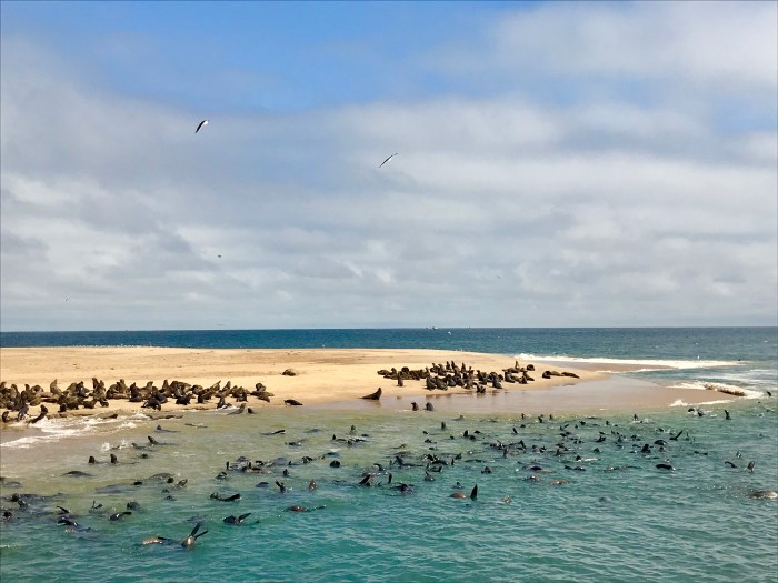 2766ADC8-985A-4D5B-8F45-B02B117F8411