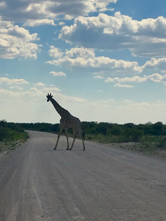 408BA2E2-E5CF-4B5C-A643-0DB970160B31