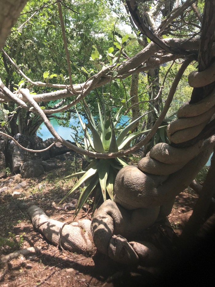 54498138-F055-4274-85C8-9C7E68F65E07