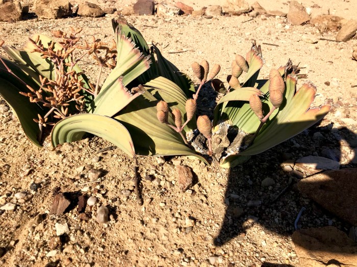 5ED5F7F2-9E2C-4BC9-83DA-4518DD8D4100