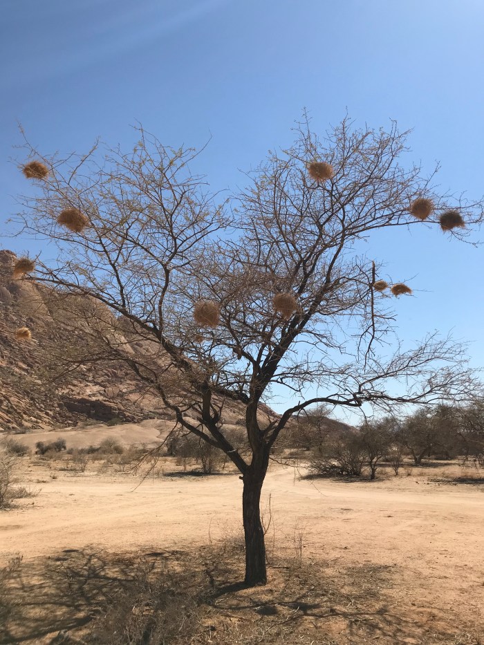 66DA3A30-309B-4334-B836-524E10D4FA47