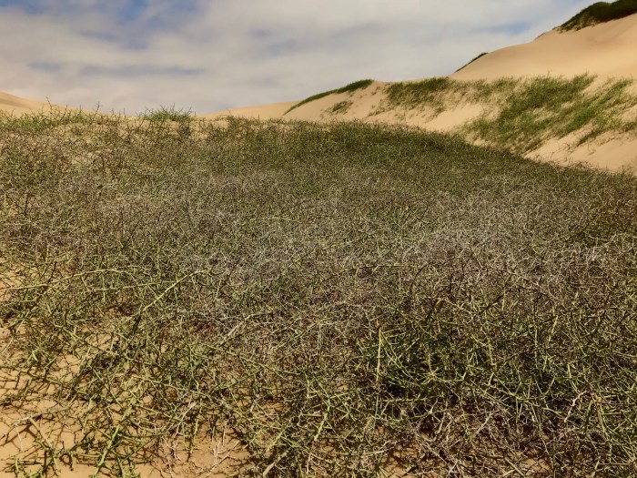 796A2FD7-9137-4162-B6BB-C48D58A7F8E4