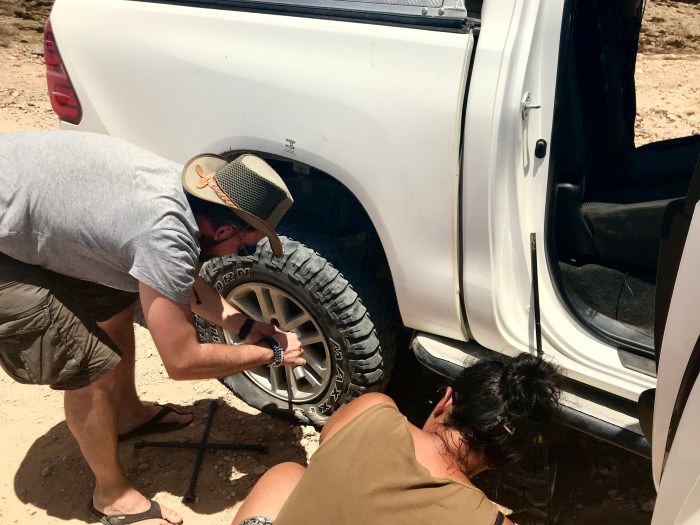 7C3807EF-265F-4F1D-BBEA-0E4029E0C1BC