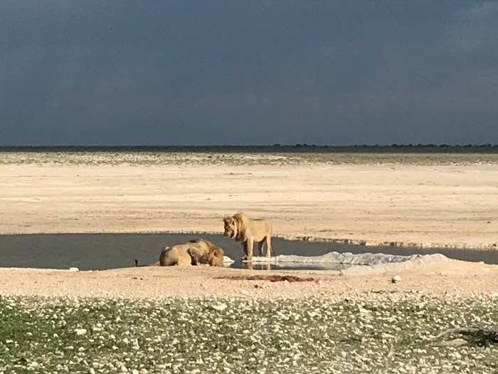 8E260247-F246-4F80-8708-F3E956DB0012