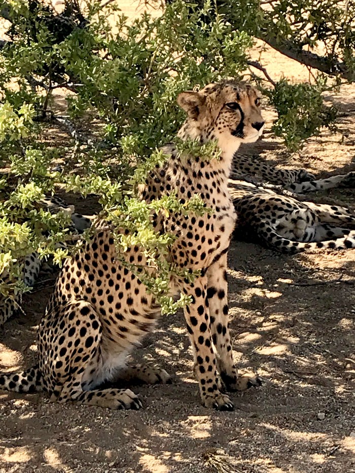 A1D3F403-286E-4908-9675-D5FA3DD2A393