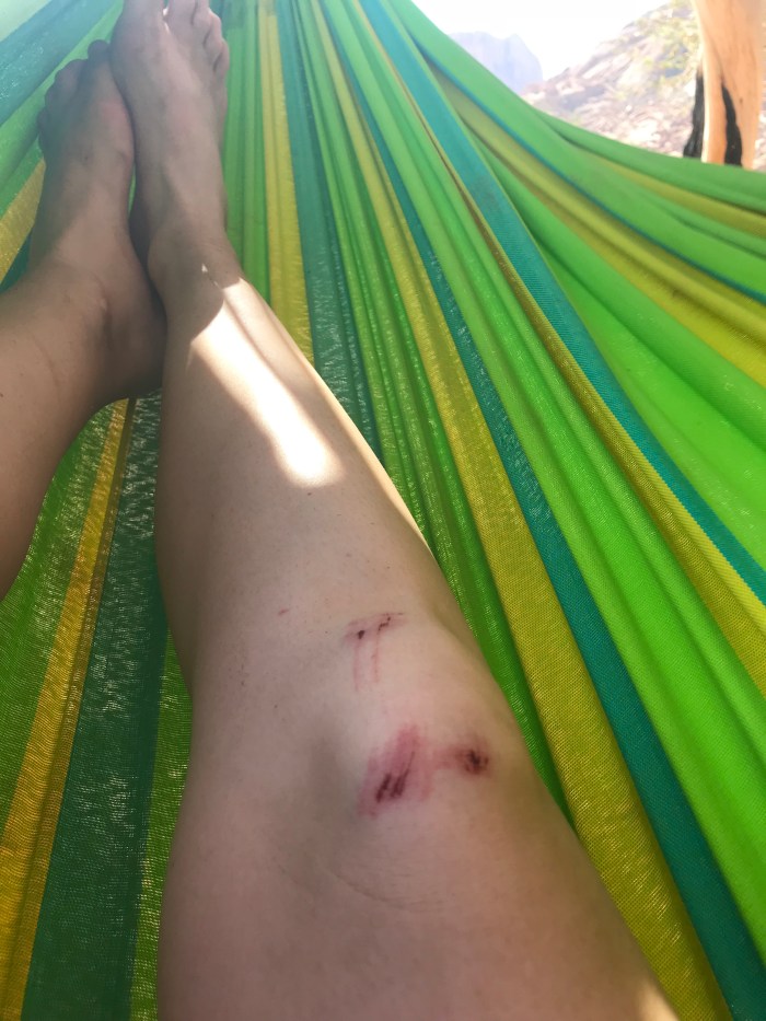 B00FBAAA-6562-4113-90DA-17459B6BE295