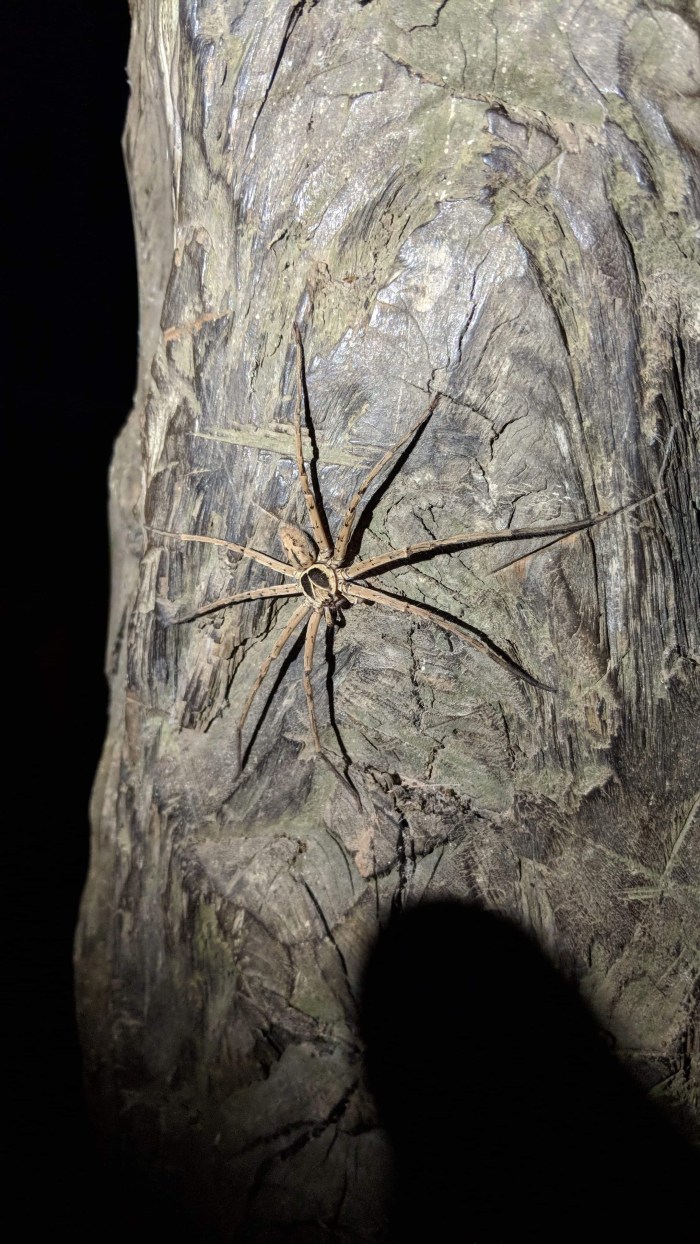 23B824C9-3213-47AC-A69E-09649C2634F4