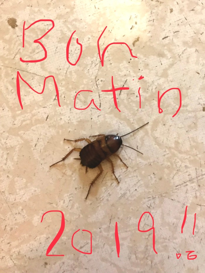 4876d3e3-06eb-485a-94ac-d42caae44248