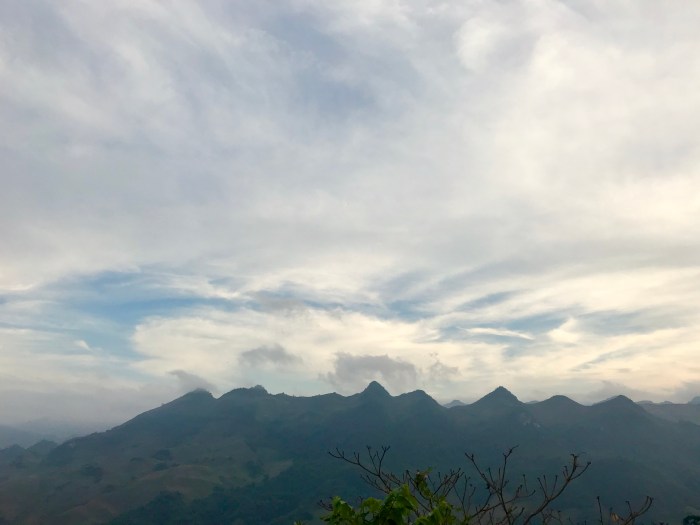 d0954b1d-223d-4b83-b2ee-1ae64979d1a8