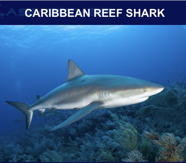 12FD3942-58D8-48A8-954E-25364047975C