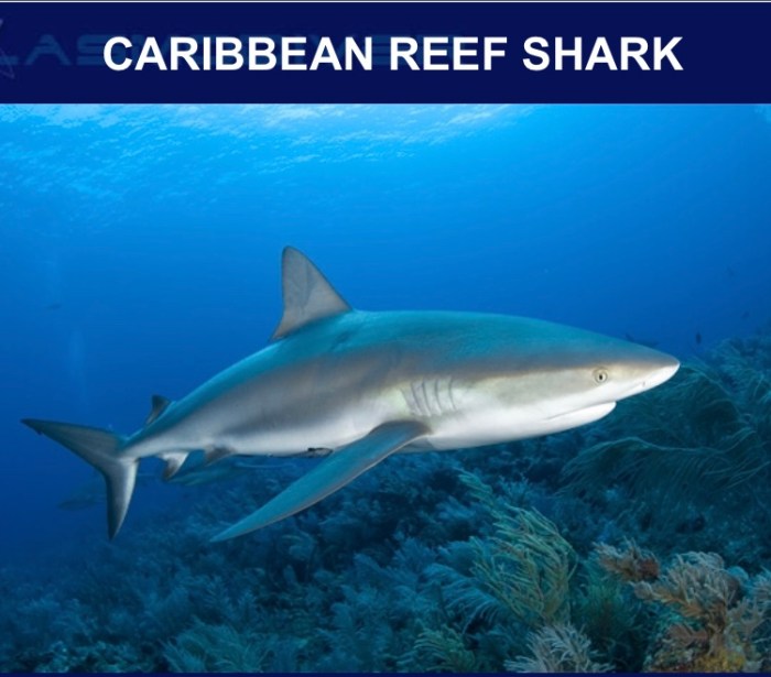 12FD3942-58D8-48A8-954E-25364047975C