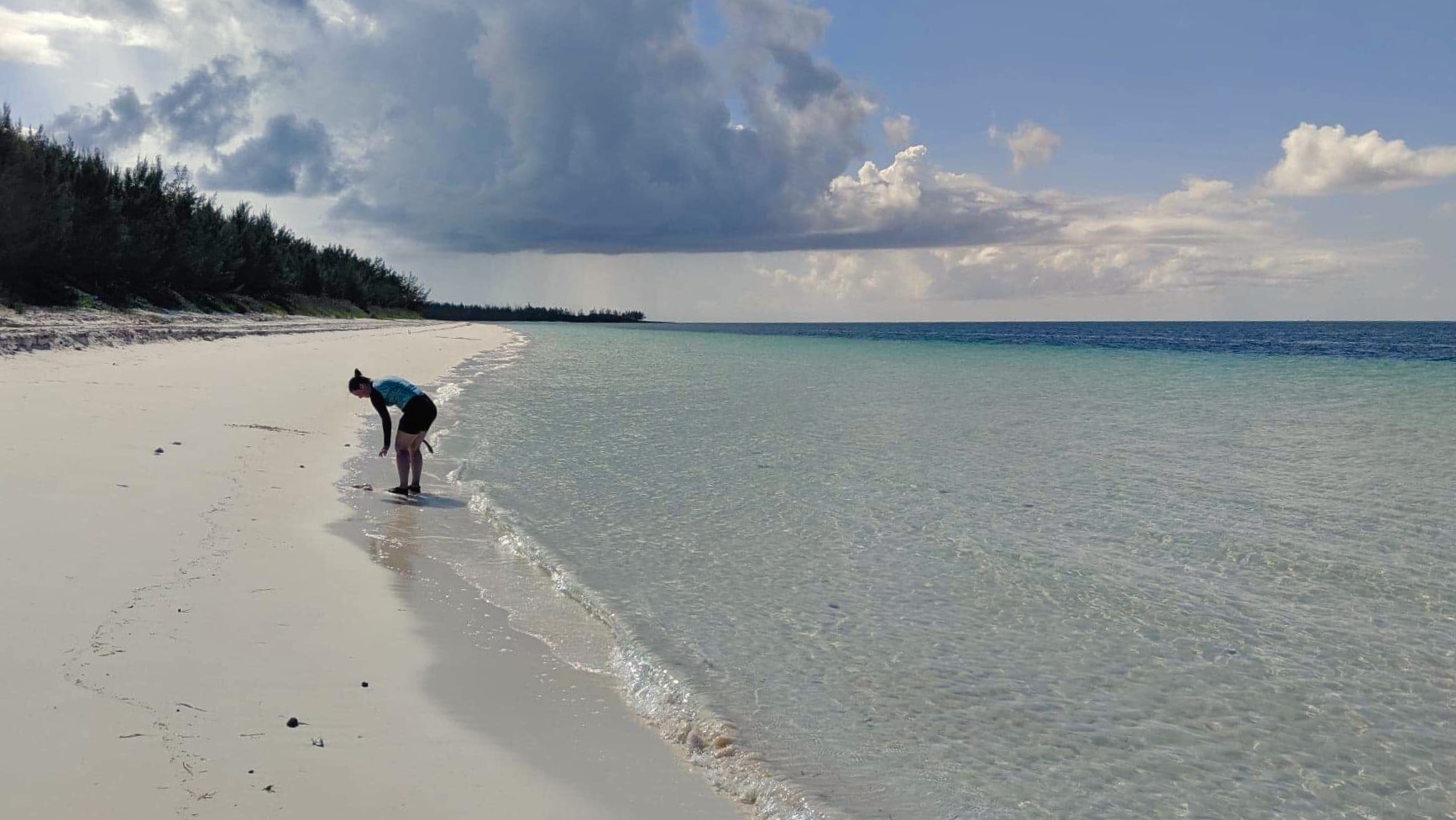 712731B5-3ACD-4447-8C40-24B01B89867A