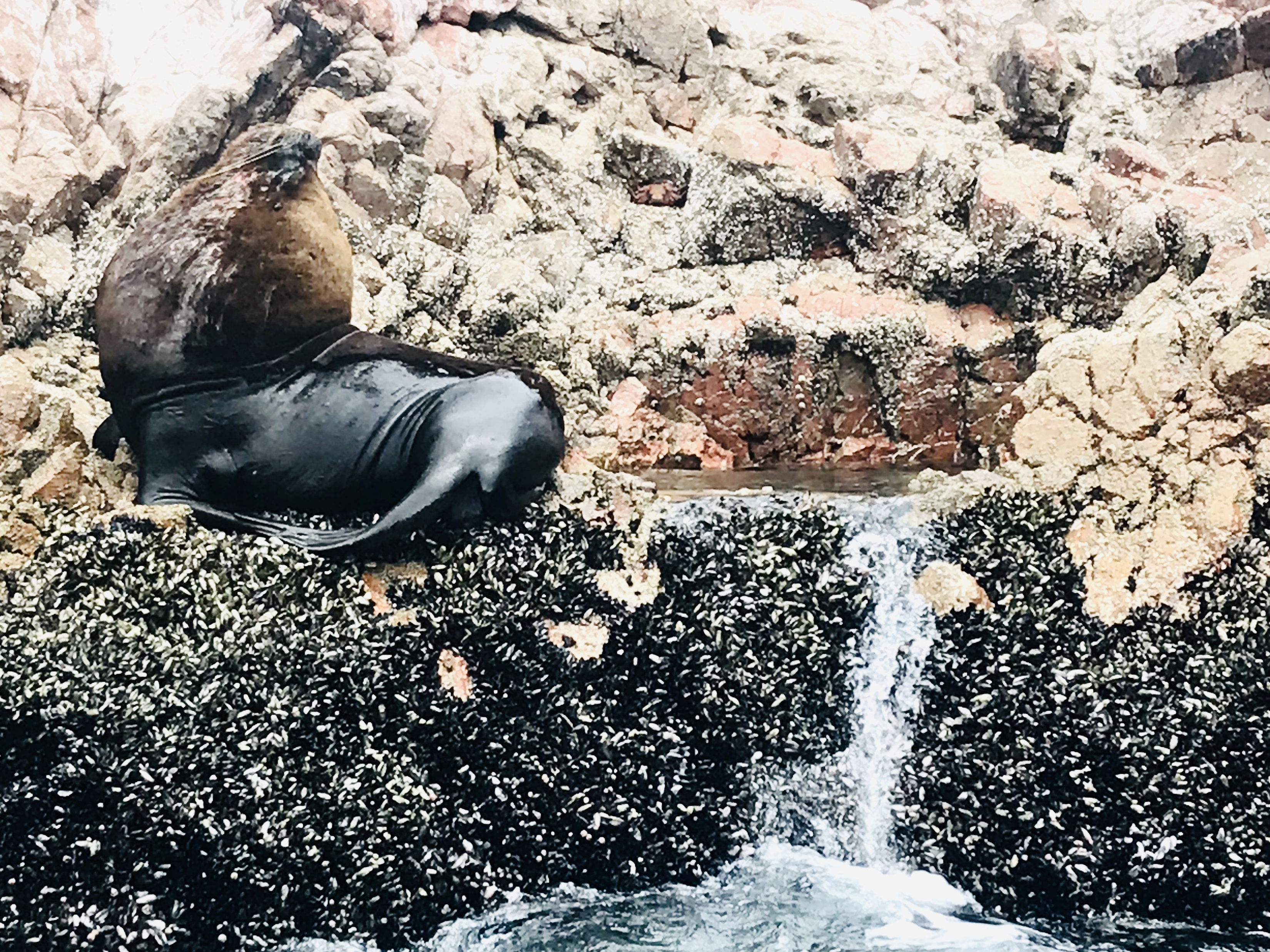 3B6BDD49-28BA-40F4-B4AC-D9BEB1D0DC24