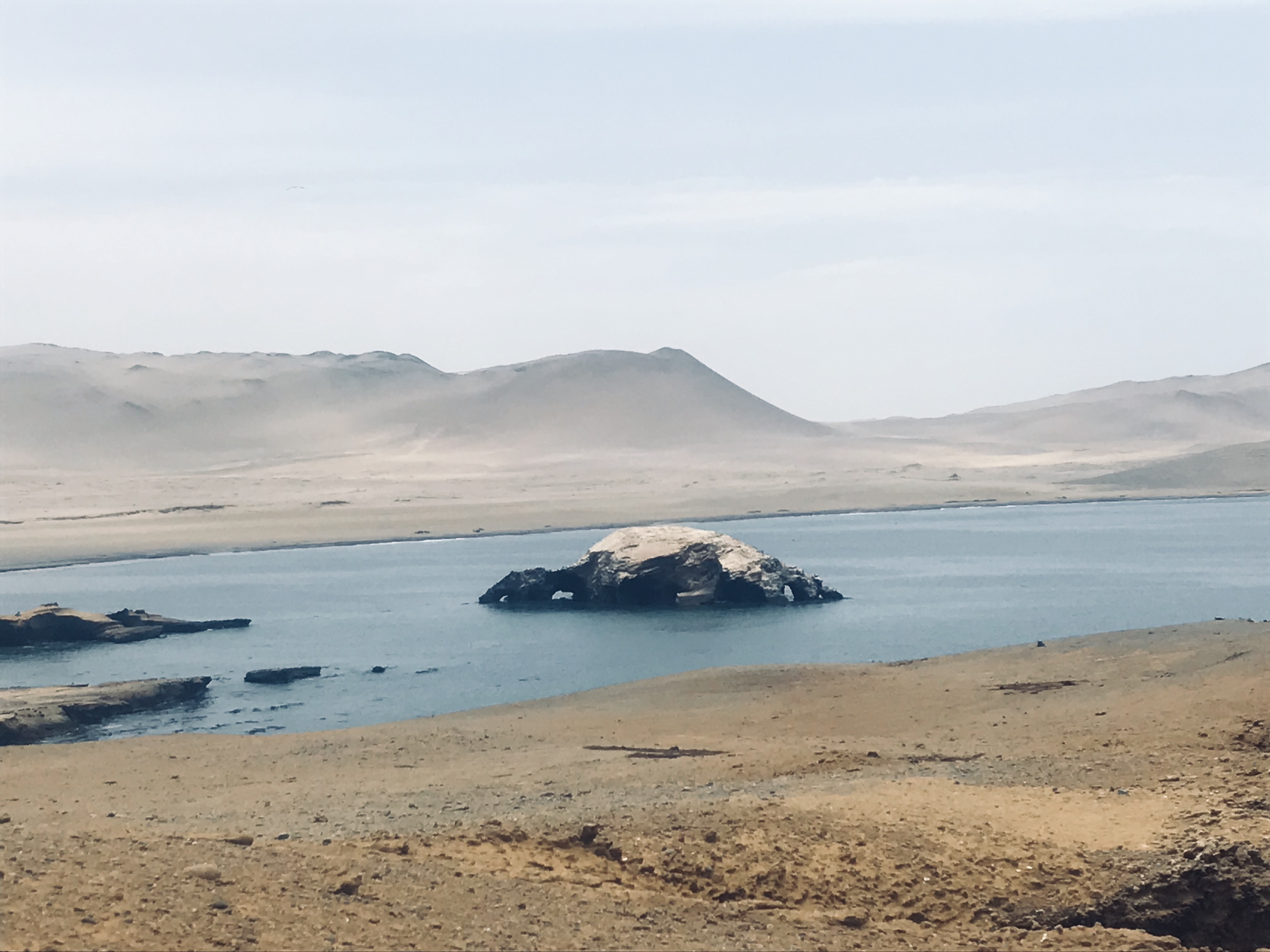 92B6C17F-482A-459C-90C4-64487F15F648