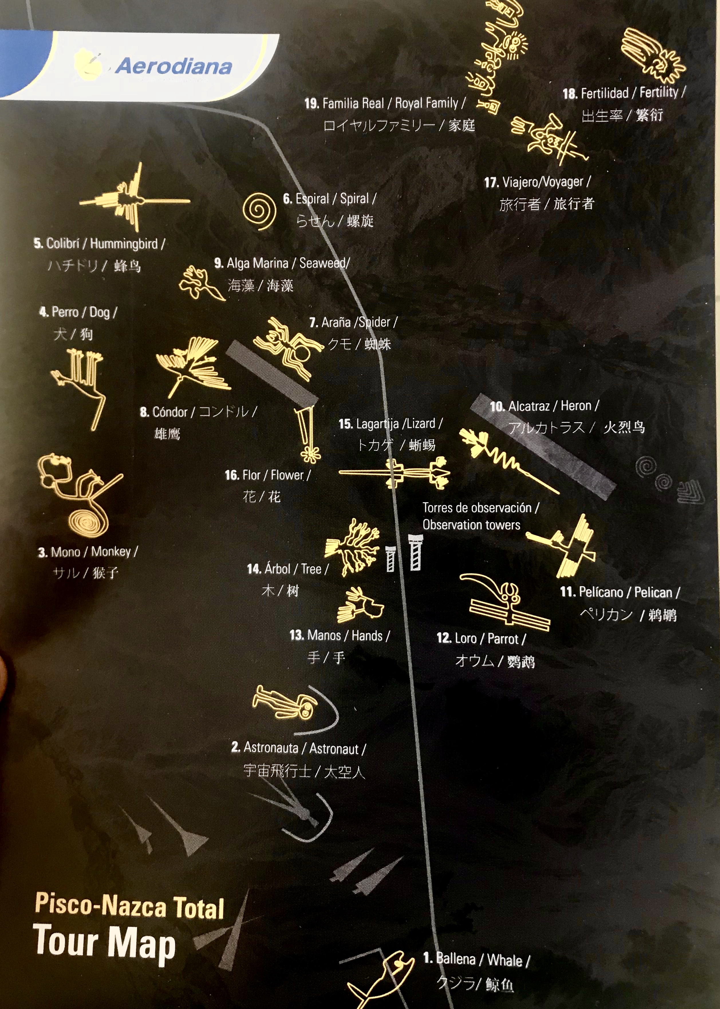 B97B4C3C-7C3B-4003-994F-9F52BD2C7DF8