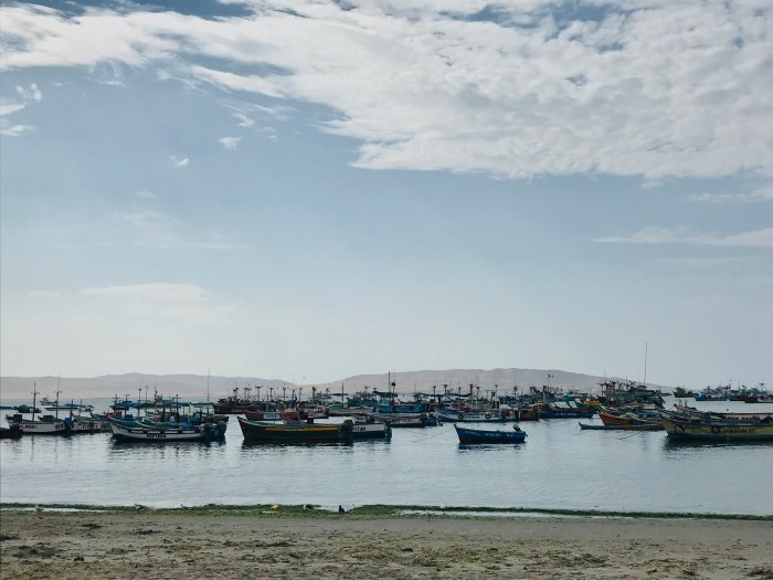 BADD945D-6BF1-4D9F-B3D3-8EC76D8154C4