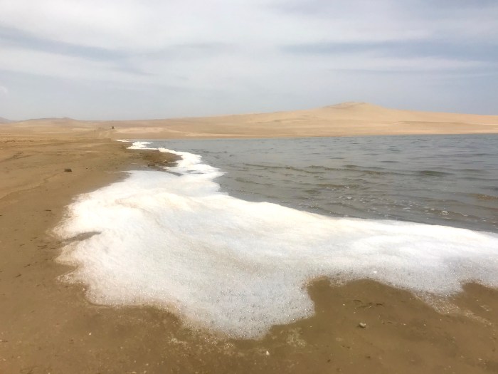 CD03F0E1-DC16-4B50-989B-019BFBE086F7