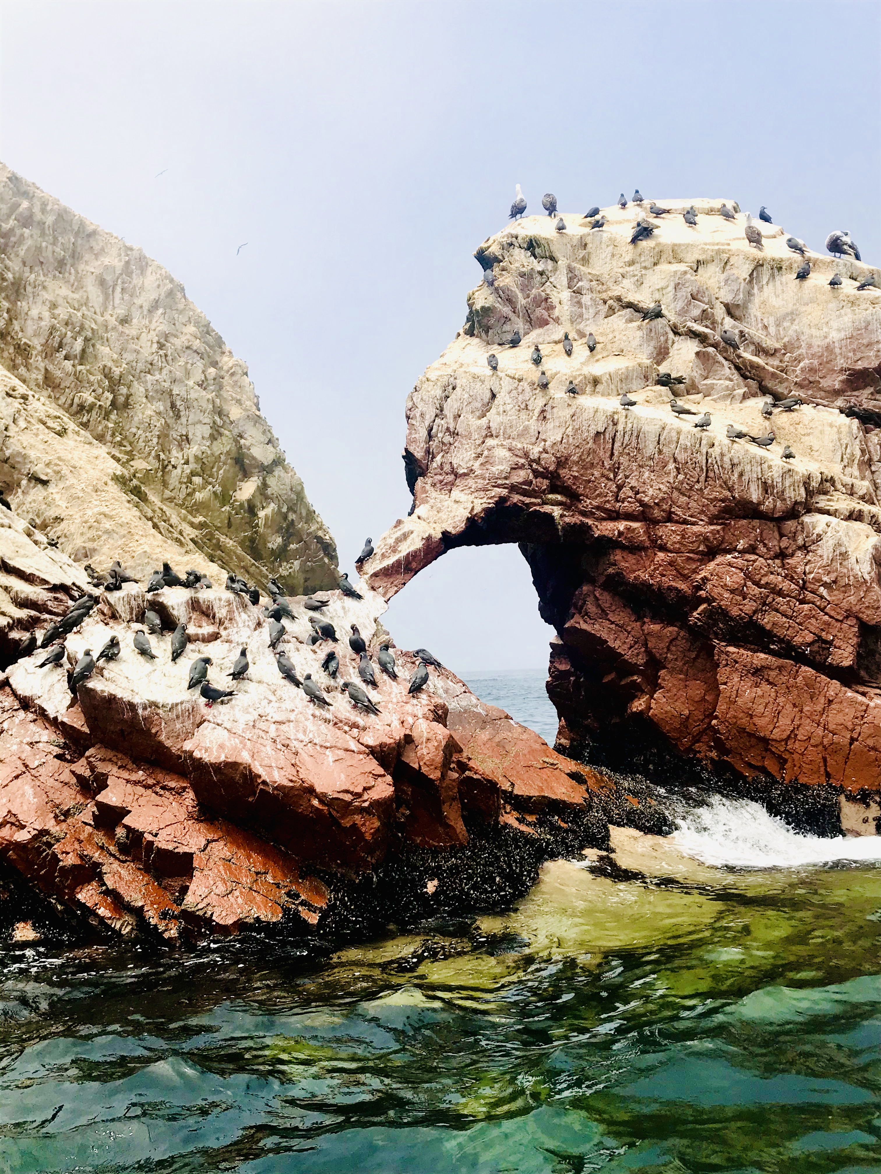 F13FF4C5-F751-4FBD-9A7F-7D349F22DCA4