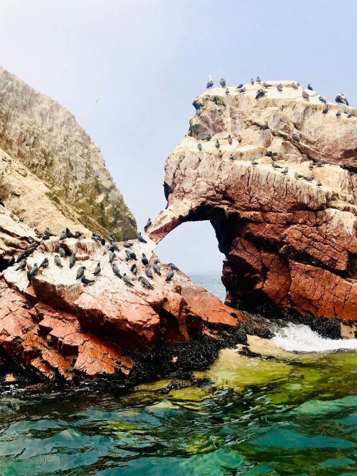 F13FF4C5-F751-4FBD-9A7F-7D349F22DCA4